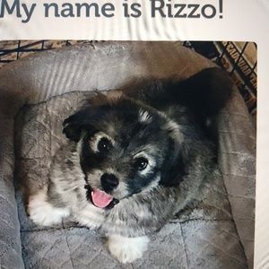 Meet your Posher, Carol